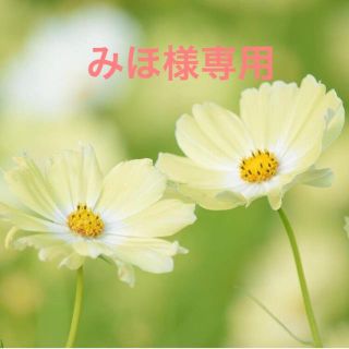 みほ様専用(カラージェル)