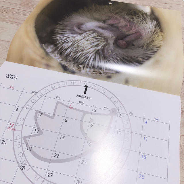 2020 ハリネズミ　カレンダー　2冊 インテリア/住まい/日用品の文房具(カレンダー/スケジュール)の商品写真