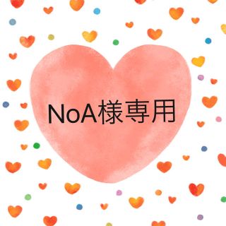 NoA様専用(長靴/レインシューズ)