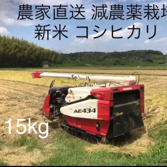 農家直送   おいしい お米  三重県産コシヒカリ 100%  15kg 新米おいしいお米