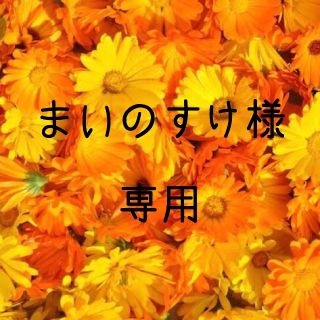 まいのすけ様専用　お米　令和元年　愛媛産ミルキークイーン　白米　20㎏(米/穀物)