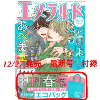 カドカワショテン(角川書店)の【おまけ付】エメラルド冬の号 付録 『純情ロマンチカ』&『世界一初恋』エコバッグ(ボーイズラブ(BL))