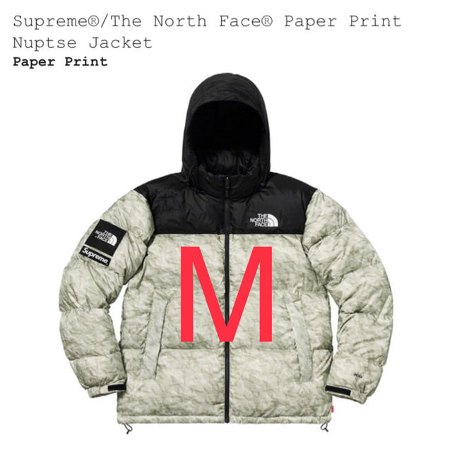 Supreme The North Face Paper Print ヌプシ