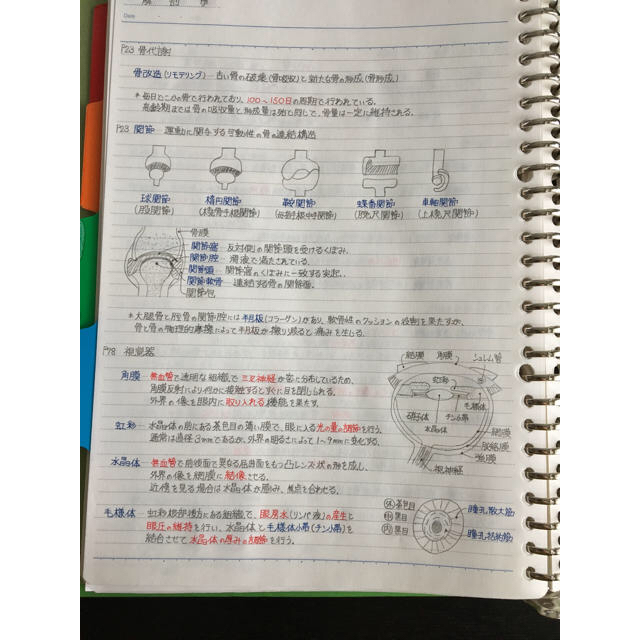 医療系学科定期試験、国家試験対策シリーズ【解剖学】まとめノートの通販 by Prince【医療系資格取得応援！】｜ラクマ