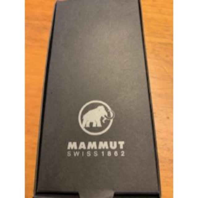 Mammut(マムート)のマムート　カラビナ　本体１０ｃｍ スポーツ/アウトドアのアウトドア(登山用品)の商品写真