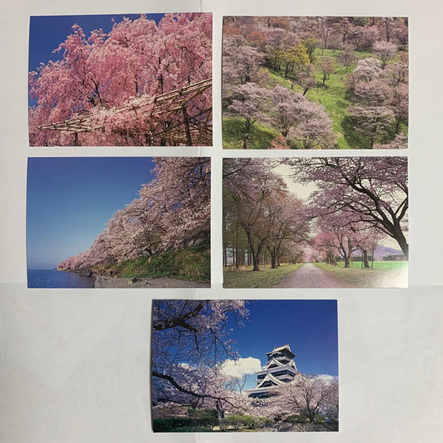 桜と紅葉・絶景十選の美麗絵はがき（桜五枚、紅葉五枚） エンタメ/ホビーのコレクション(その他)の商品写真