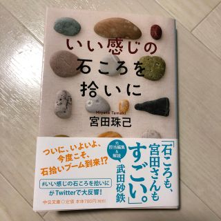 いい感じの石ころを拾いに(文学/小説)