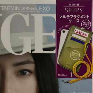 シップス(SHIPS)のGINGER 11月号 付録 マルチフラグメントケース(ポーチ)