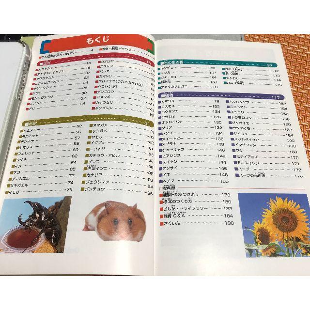 学研 ポケット版 学研の図鑑8 飼育 栽培の通販 By Ken S Shop ガッケンならラクマ 学研 ポケット版 学研の図鑑8 飼育 栽培の通販 By Ken S Shop ガッケンならラクマ