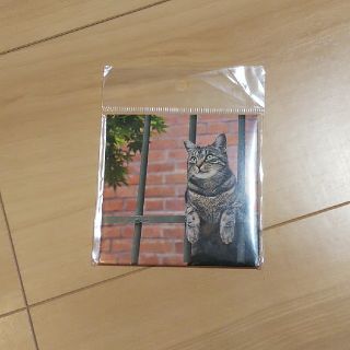 岩合光昭 猫 あぶらとり紙(その他)