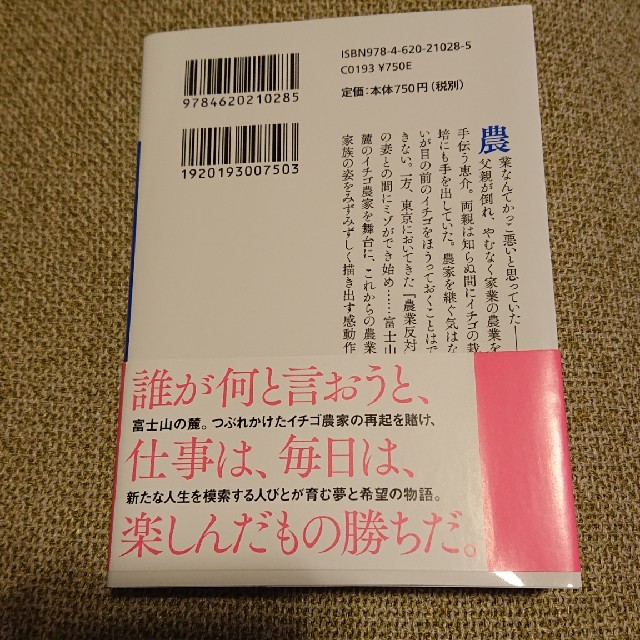 ストロベリーライフ エンタメ/ホビーの本(文学/小説)の商品写真