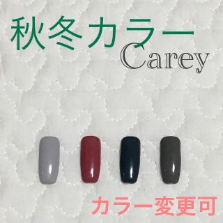 【カラー変更可】秋冬カラーB カラージェル ジェルネイル(カラージェル)
