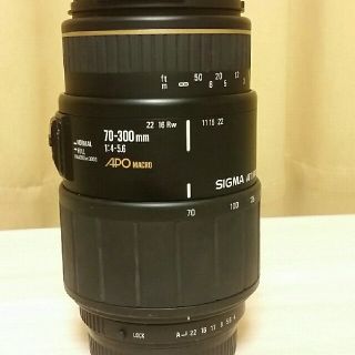 シグマ(SIGMA)のSIGMA APO MACRO(レンズ(ズーム))