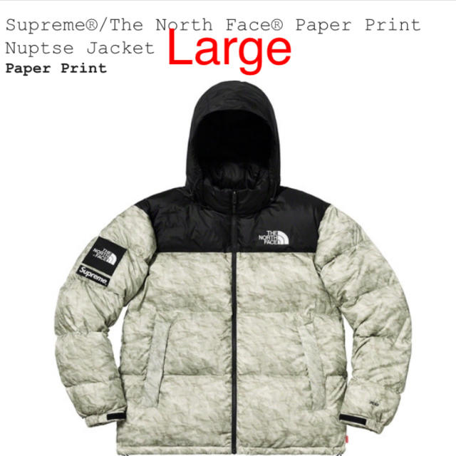 Supreme The North Face Paper Print ヌプシ