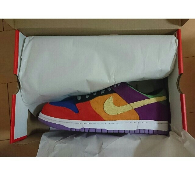 Nike SB dunk VIOTECH