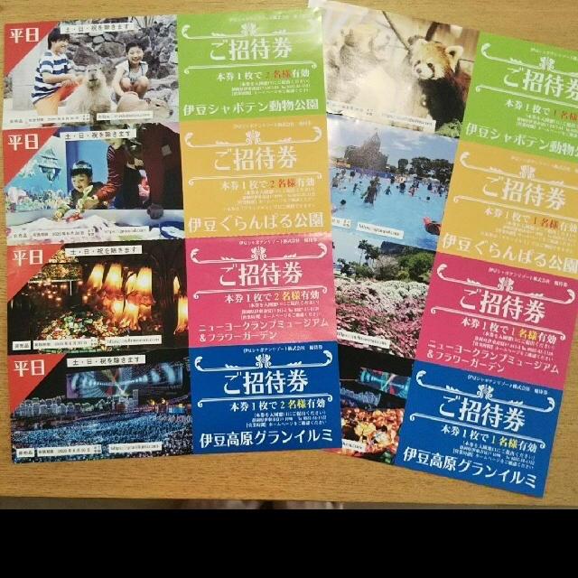 最安価格 ニューヨークランプミュージアムフラワーガーデン 全日ご招待券4枚