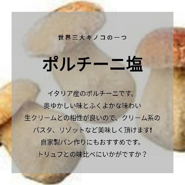 【送料込み】【無添加】ポルチーニ塩 持ち運び便利ミニボトル1本です。 食品/飲料/酒の食品(調味料)の商品写真