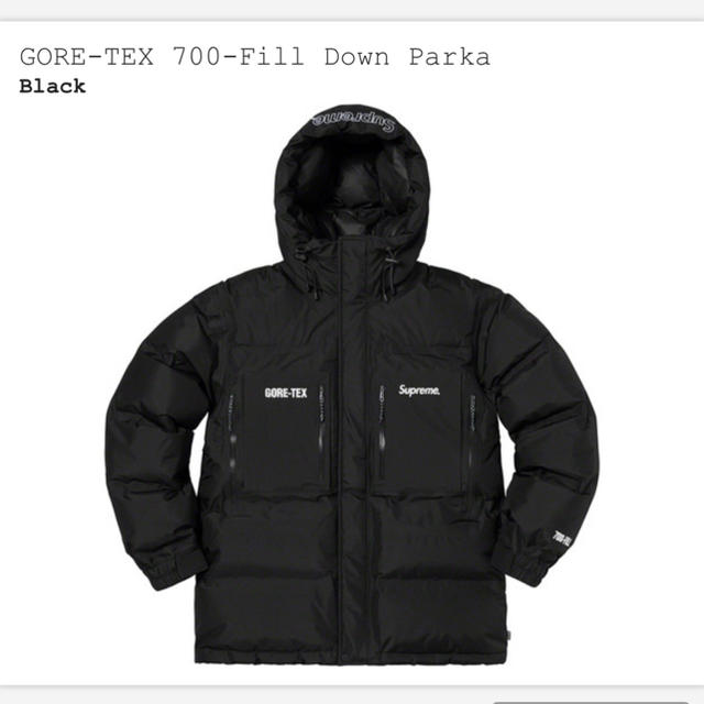 Supreme(シュプリーム)のSupreme GORE-TEX 700-Fill Down Parka  メンズのジャケット/アウター(ダウンジャケット)の商品写真