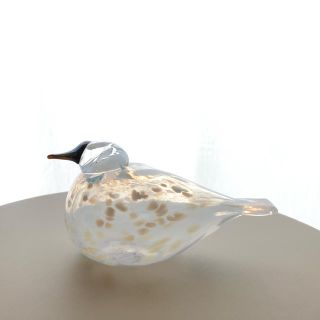 イッタラ(iittala)のSnow Finch 2018年 Oiva Toikka バード 箱あり(置物)