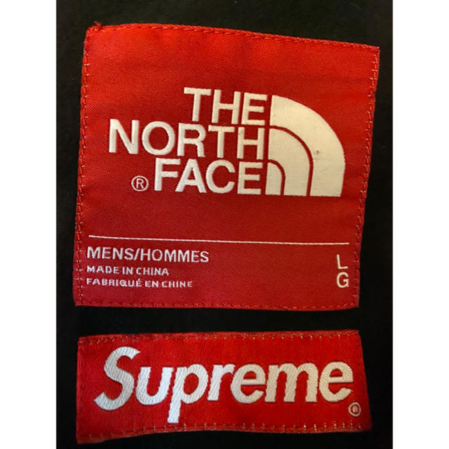 Supreme/The North Face Jacket Leaves L