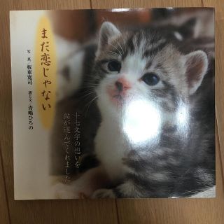 まだ恋じゃない 猫と俳句の写真集(趣味/スポーツ/実用)