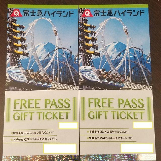 【送料込み】富士急ハイランド　フリーパス　2枚☆2020年5月31日