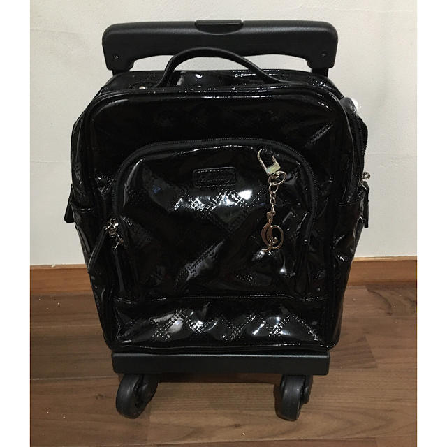 スワニー　カート　手渡し可能（送料引きます） レディースのバッグ(スーツケース/キャリーバッグ)の商品写真
