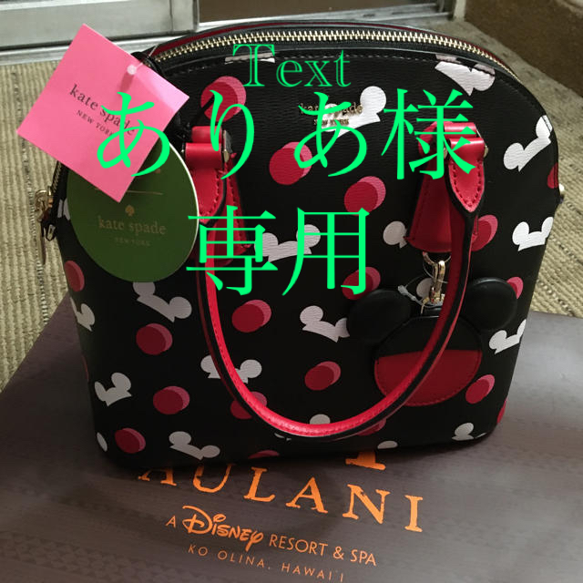 kate spade NEW YORK - ハワイ アウラニディズニー限定☆ケイトスペードバッグ☆お値下げ