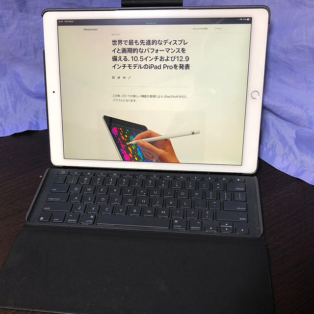 iPad Pro 12.9 第2世代 256GB (※キーボードケースは除く）