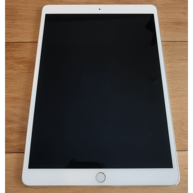 【美品】Apple iPad Pro 10.5インチ250GB Wi-Fiモデル