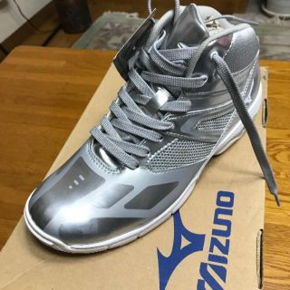 ミズノ(MIZUNO)のシューズ　ミズノ　ウェーブダイバーズ　DE(その他)