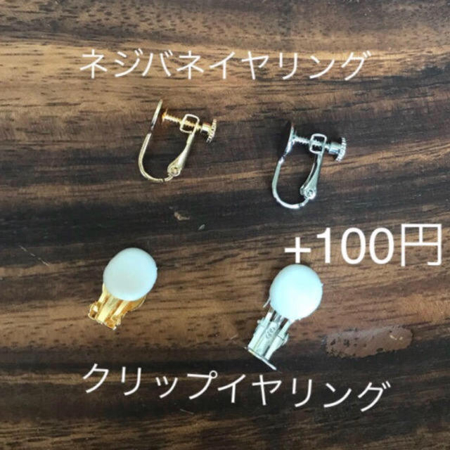 no.804 ドライフラワー スティック☆ピアスorイヤリング ハンドメイドのアクセサリー(ピアス)の商品写真