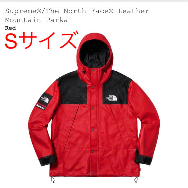 Supreme - 【S】Supreme North Face Leather Mountain 赤