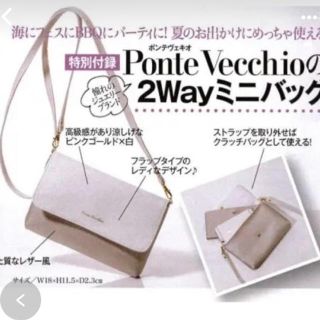 ポンテヴェキオ(PonteVecchio)のポンテベッキオ 2wayミニバック(ショルダーバッグ)