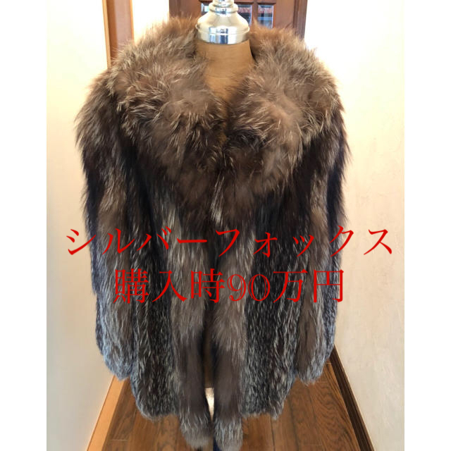 シルバーフォックス　購入時90万円シルバーフォックス