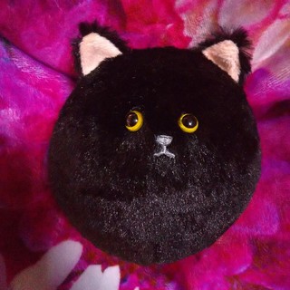 アフタヌーンティー(AfternoonTea)のお値下げ 美品アフタヌーンティーきょとんとした顔がかわいい 黒猫 ぬいぐるみ(ぬいぐるみ)