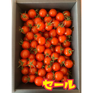熊本県 完熟濃厚ミニトマト  500g ☆キャロルセブン☆ 農家直送(フルーツ)