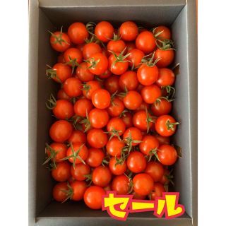 熊本県 完熟濃厚ミニトマト  500g ☆キャロルセブン☆ 農家直送(フルーツ)