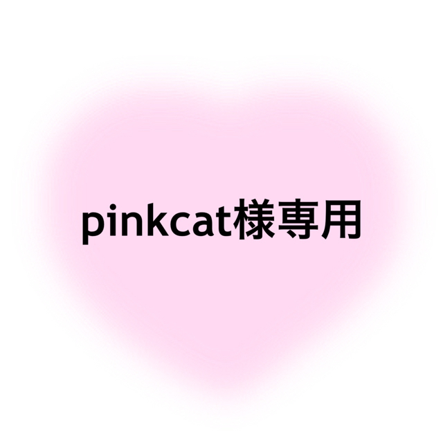 Vivienne Westwood(ヴィヴィアンウエストウッド)のpinkcat様専用ページ レディースのアクセサリー(ネックレス)の商品写真