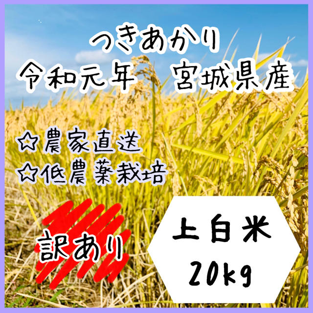 【訳あり】即購入OK♪ 宮城県産つきあかり上白米10kg【送料無料】