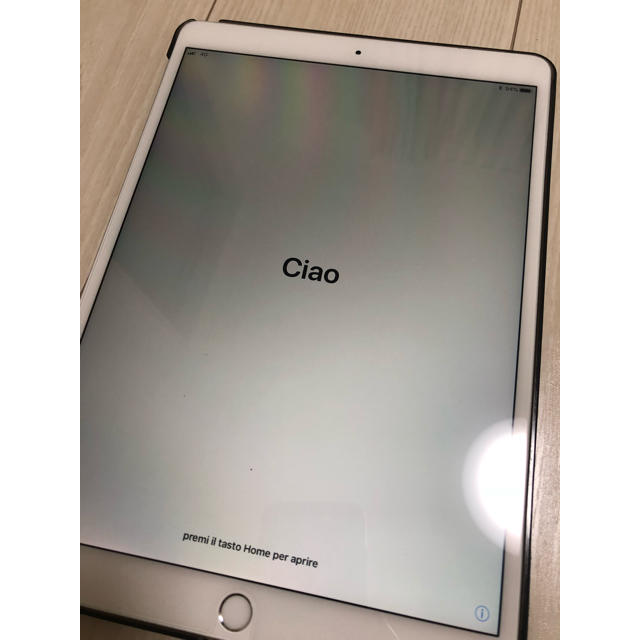 ※1月5日迄、最終お値下げ中※【美品】iPad Pro 10.5 256GB