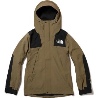 ザノースフェイス(THE NORTH FACE)のノースフェイス　マウンテンジャケット GORE-TEX【ビーチ/グリーン】極美品(マウンテンパーカー)