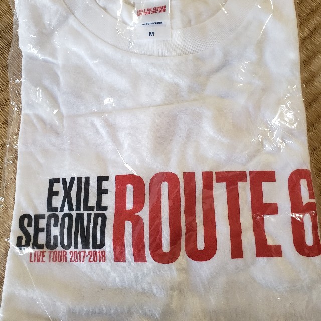 EXILE THE SECOND(エグザイルザセカンド)のEXILESECONDライブTｼｬﾂ エンタメ/ホビーのタレントグッズ(ミュージシャン)の商品写真