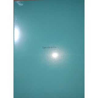 ティファニー(Tiffany & Co.)のTIFFANY オリジナル婚姻届　　　　　　　　　　　　　申請なしご購入歓迎(その他)