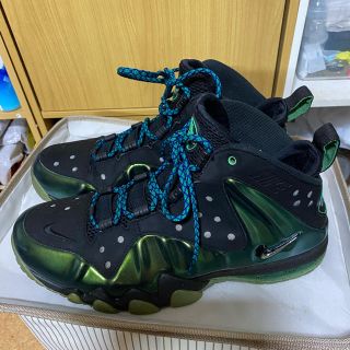 ナイキ(NIKE)のNIKE BARKLEY  POSITE/GAMMA  GREEN-BLACK(スニーカー)