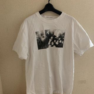 コモリ(COMOLI)のShinya kozuka スタッフTシャツ(Tシャツ/カットソー(半袖/袖なし))