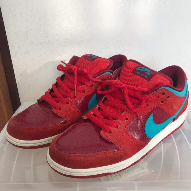 NIKE DUNK LOW SB 29