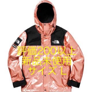 シュプリーム(Supreme)の新品 Supreme north face metallic parka (マウンテンパーカー)