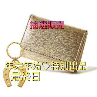 ジャーナルスタンダード(JOURNAL STANDARD)の✩.*˚年末年始♡7日間の特別出品♡最終日✩.*˚ ミニ財布＆馬蹄チャーム(財布)