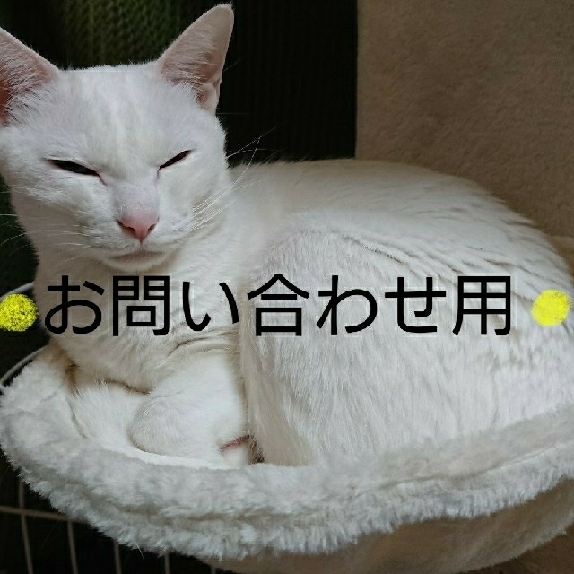 お問い合わせ用 その他のその他(その他)の商品写真